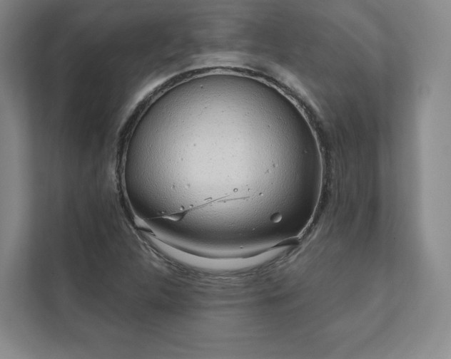 X0000111931312200908031110