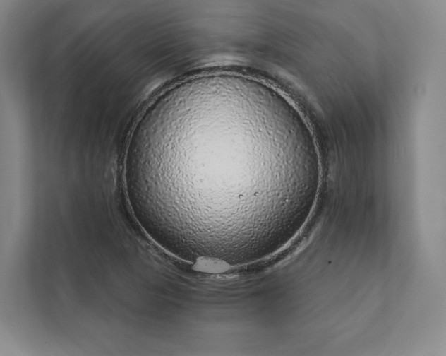 X0000111931313200908031110