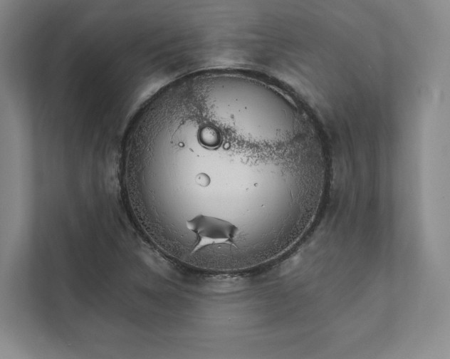 X0000111931314200908031110