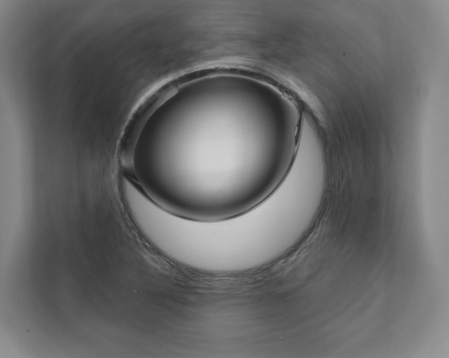 X0000111931316200908031110