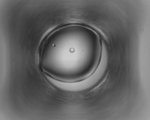 X0000111931317200908031110
