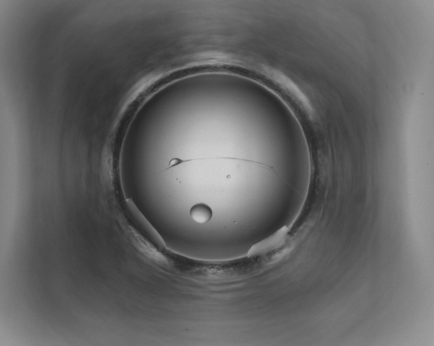 X0000111931318200908031110