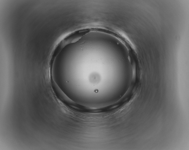 X0000111931320200908031110