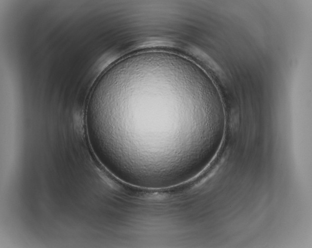 X0000111931321200908031110