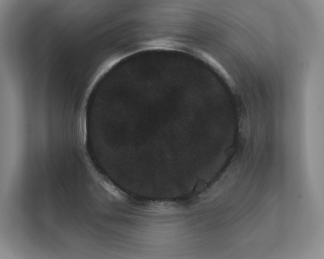 X0000111931323200908031110