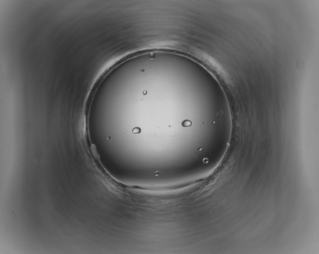 X0000111931324200908031110