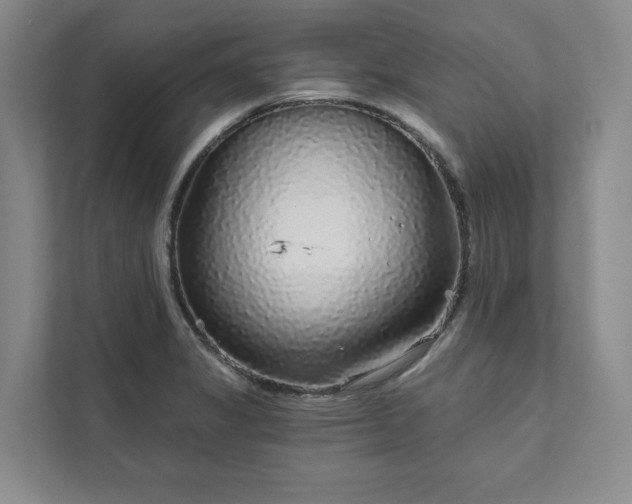 X0000111931325200908031110