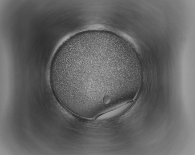 X0000111931326200908031110