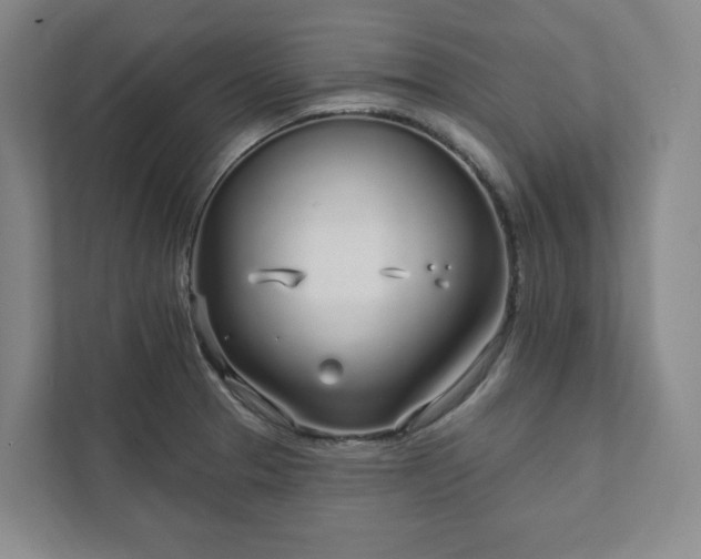 X0000111931329200908031110
