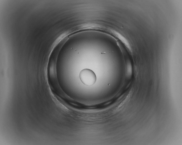 X0000111931330200908031110