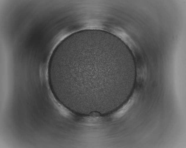 X0000111931331200908031110