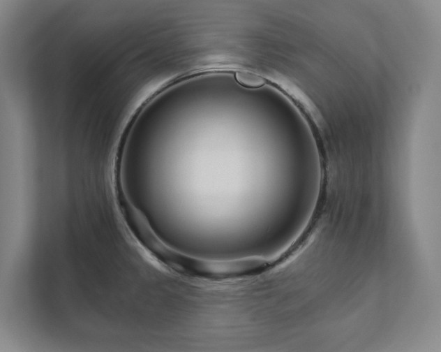 X0000111931333200908031110