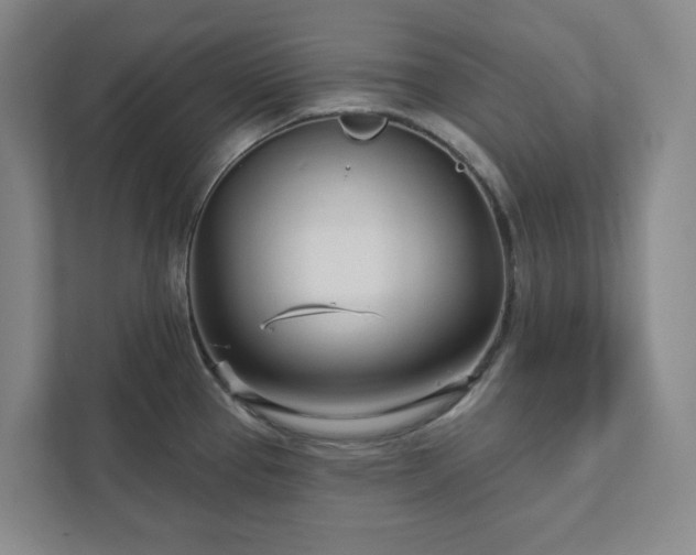 X0000111931337200908031110