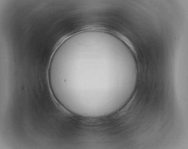 X0000111931338200908031110