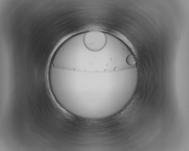 X0000111931339200908031110