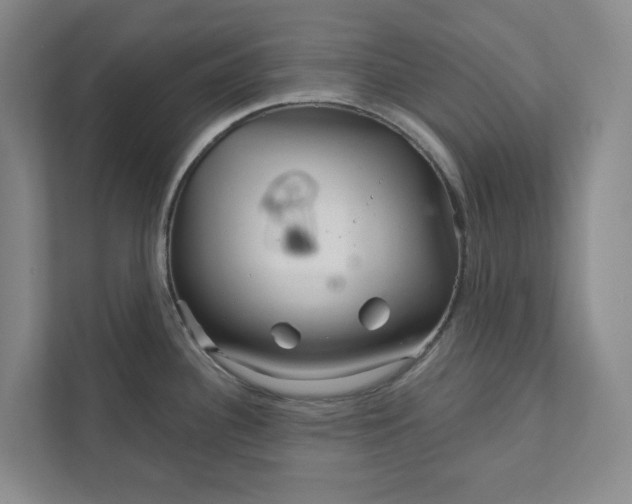 X0000111931340200908031110