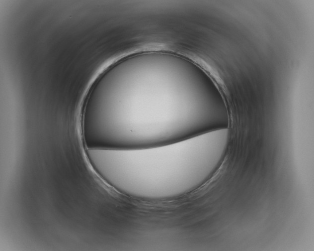 X0000111931342200908031110