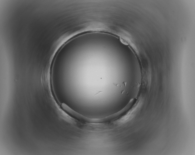 X0000111931343200908031110