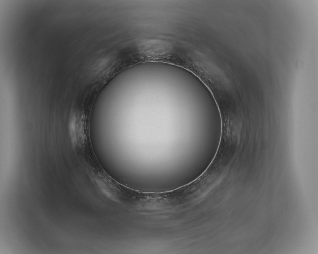 X0000111931346200908031110