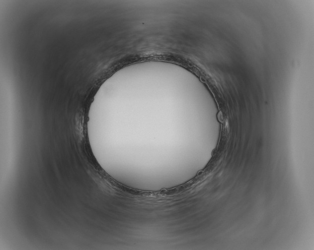 X0000111931348200908031110