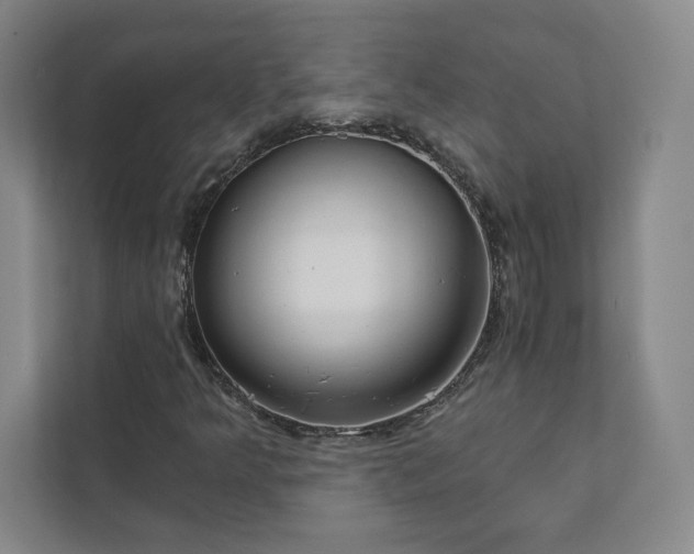 X0000111931349200908031110