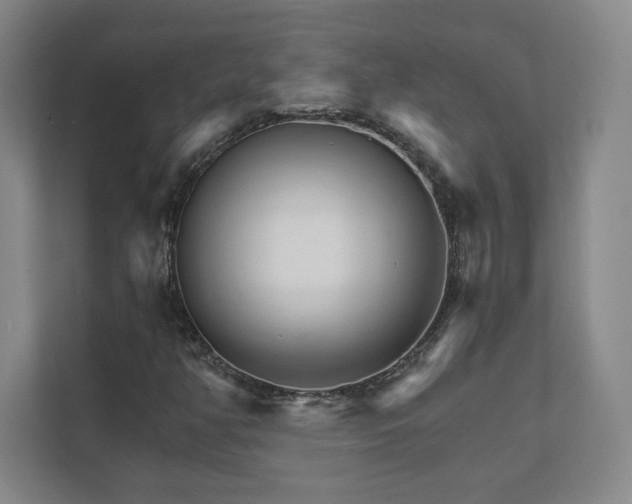 X0000111931350200908031110