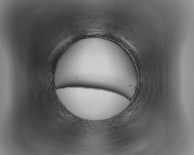 X0000111931351200908031110