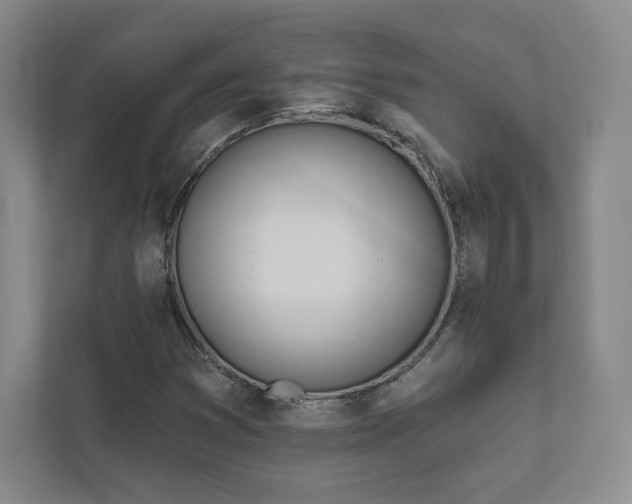 X0000111931353200908031110