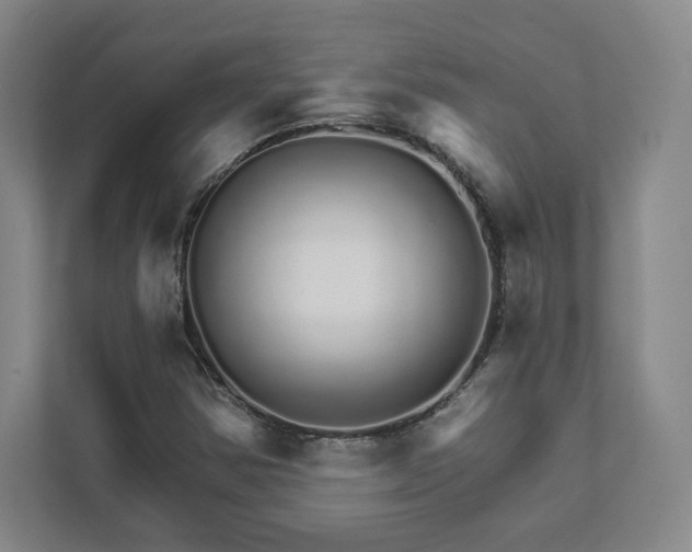 X0000111931354200908031110