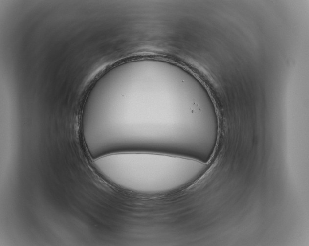 X0000111931355200908031110