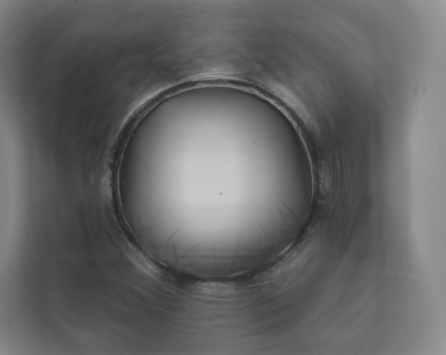 X0000111931356200908031110