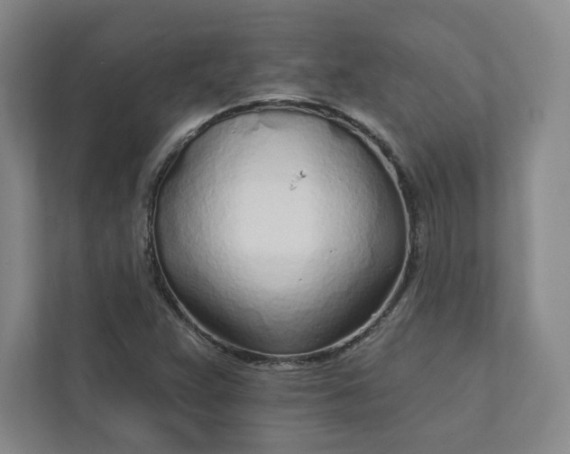X0000111931359200908031110