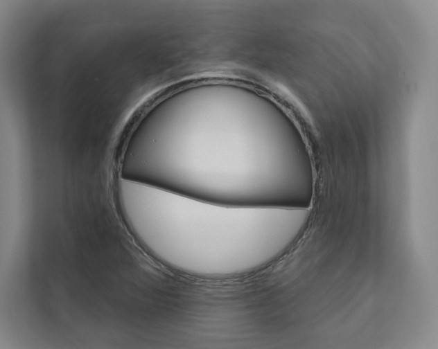 X0000111931360200908031110