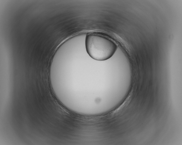 X0000111931361200908031110