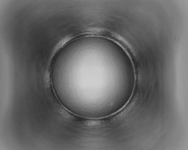 X0000111931362200908031109