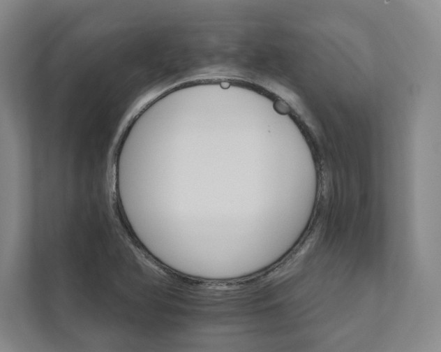 X0000111931366200908031109