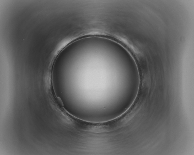 X0000111931367200908031109