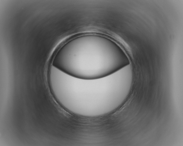 X0000111931368200908031109