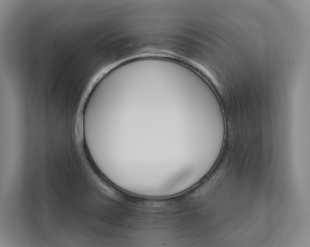 X0000111931371200908031109