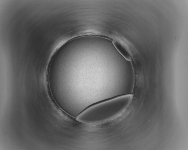 X0000111931373200908031109