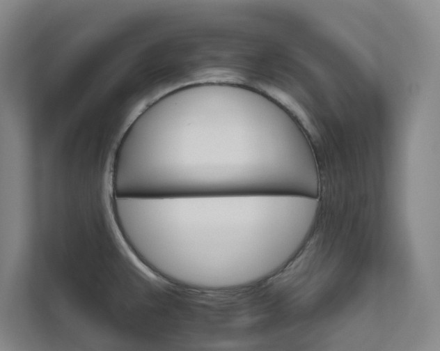 X0000111931383200908031109