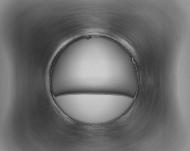 X0000111931384200908031109