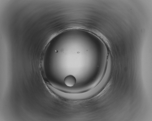 X0000111931385200908031109