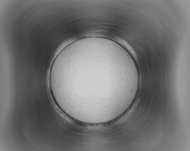X0000111931386200908031109