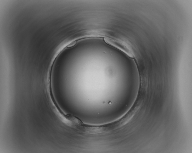 X0000111931387200908031109