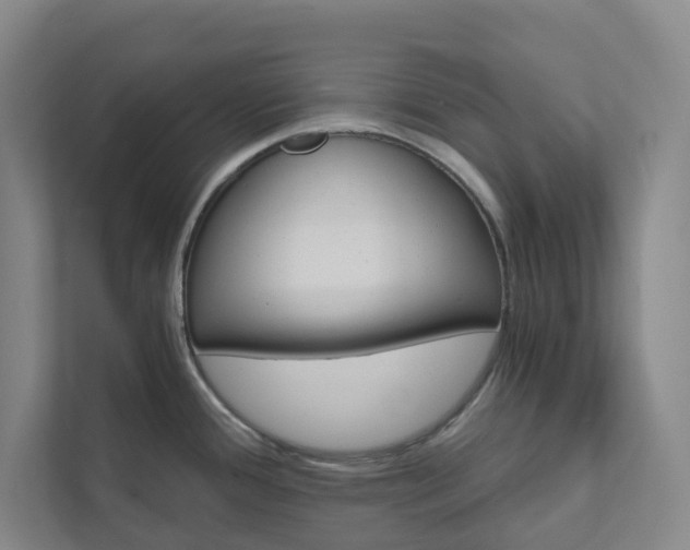 X0000111931388200908031109