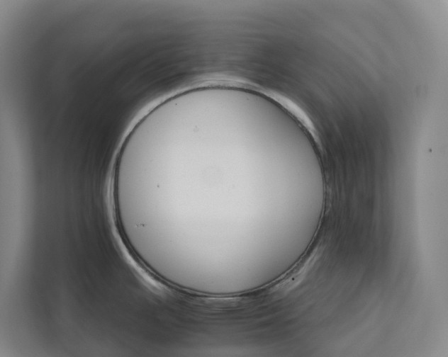 X0000111931391200908031109