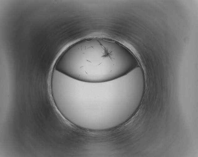 X0000111931392200908031109
