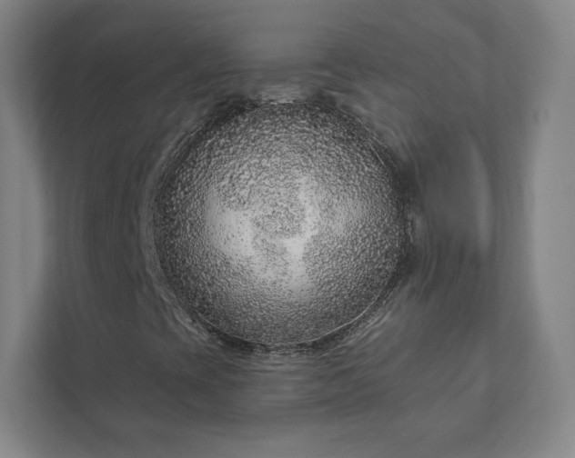X0000111931393200908031108