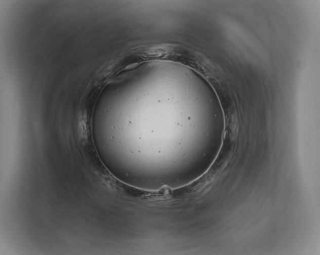 X0000111931394200908031108